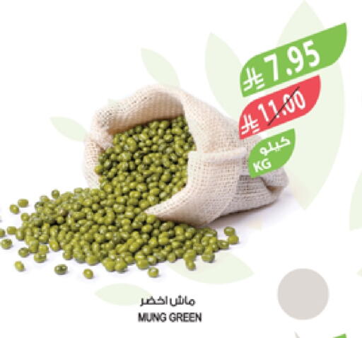 available at Farm  in KSA, Saudi Arabia, Saudi - Al Hasa