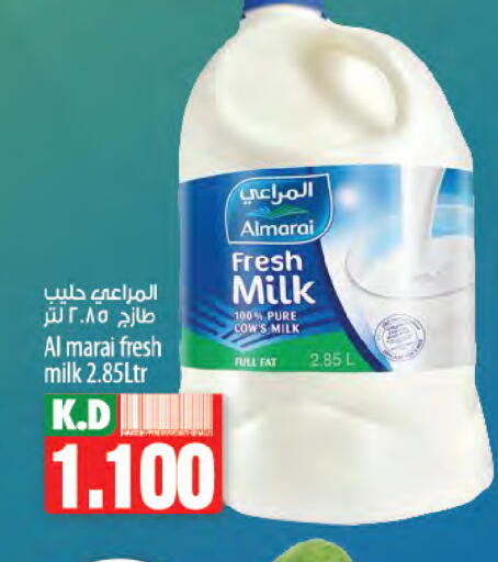 ALMARAI Fresh Milk available at Mango Hypermarket  in Kuwait - Kuwait City