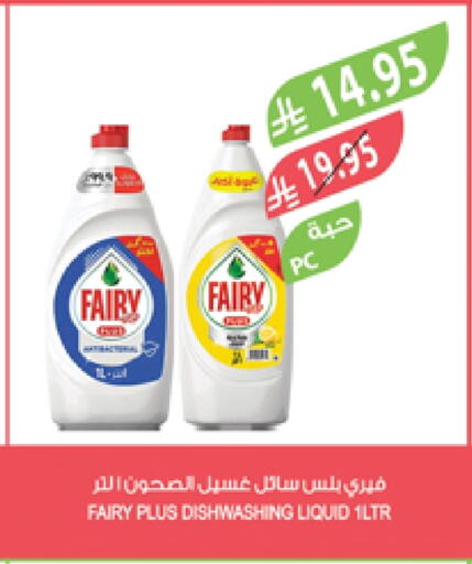 FAIRY available at Farm  in KSA, Saudi Arabia, Saudi - Abha