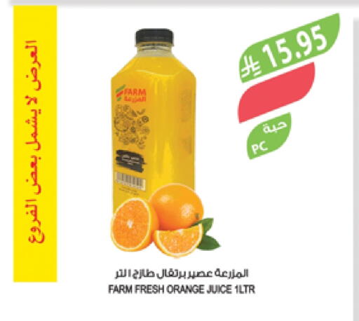 Orange available at Farm  in KSA, Saudi Arabia, Saudi - Najran