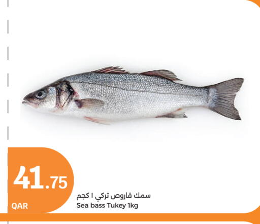 available at City Hypermarket in Qatar - Al Rayyan
