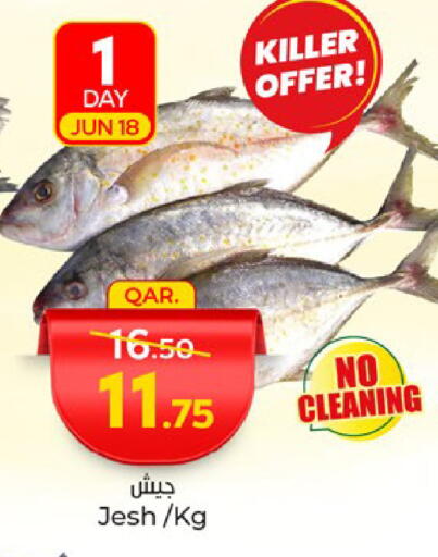 الأسماك الطازجة in باريس هايبرماركت, قطر Offers - قطر available at باريس هايبرماركت in قطر - الريان
