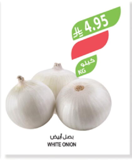 Onion available at Farm  in KSA, Saudi Arabia, Saudi - Al-Kharj