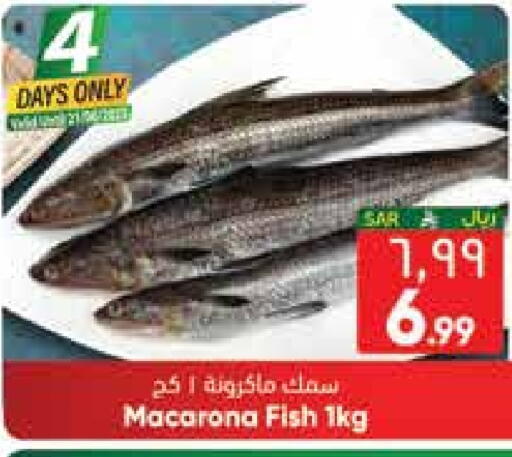 available at City Flower in KSA, Saudi Arabia, Saudi - Jubail