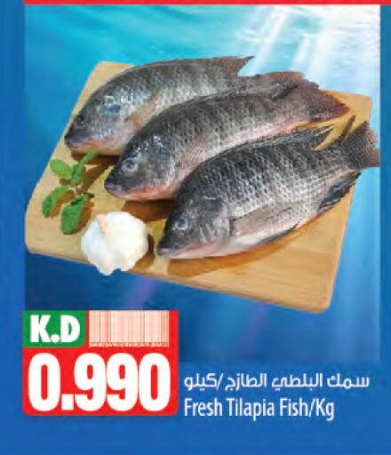 Mango available at Mango Hypermarket  in Kuwait - Ahmadi Governorate