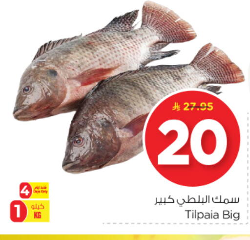 الأسماك الطازجة in نستو, المملكة العربية السعودية Offers - المملكة العربية السعودية available at نستو in مملكة العربية السعودية, السعودية, سعودية - الرياض