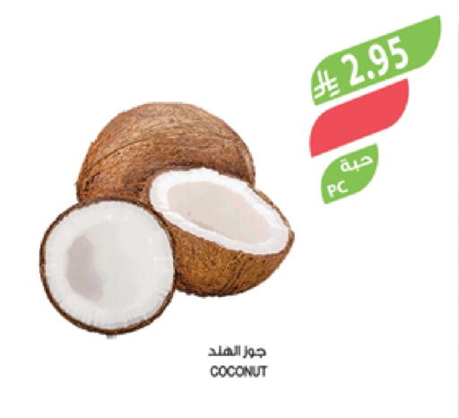 Coconut available at Farm  in KSA, Saudi Arabia, Saudi - Khafji