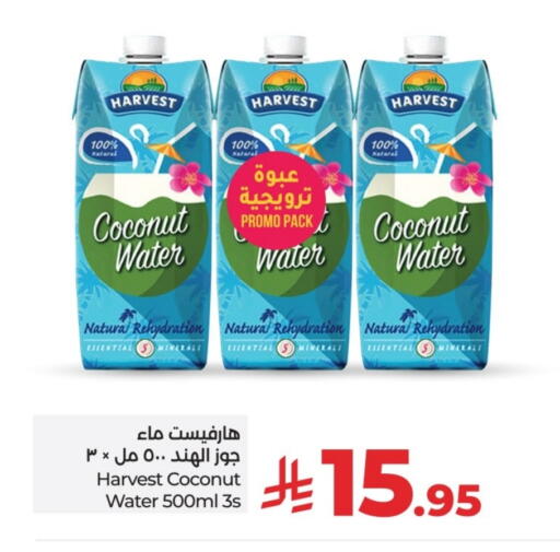 Coconut available at LULU Hypermarket in KSA, Saudi Arabia, Saudi - Unayzah
