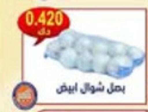 Onion available at  Al Naeem coop in Kuwait - Ahmadi Governorate