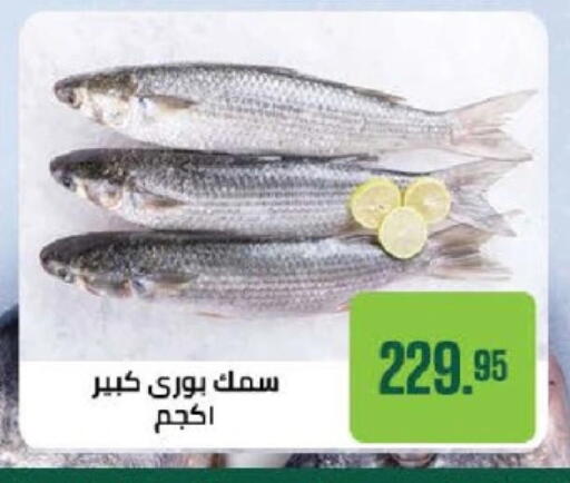 available at Seoudi Supermarket in Egypt - Cairo