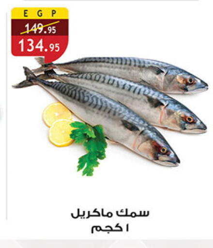 available at الرايه  ماركت in Egypt - القاهرة