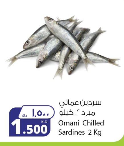 available at Agricultural Food Products Co. in Kuwait - Ahmadi Governorate