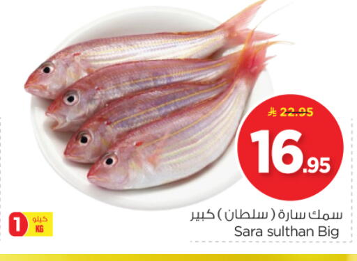 الأسماك الطازجة in نستو, المملكة العربية السعودية Offers - المملكة العربية السعودية available at نستو in مملكة العربية السعودية, السعودية, سعودية - الرياض
