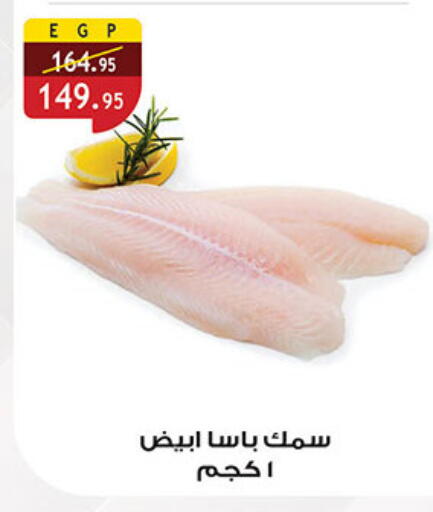 available at الرايه  ماركت in Egypt - القاهرة