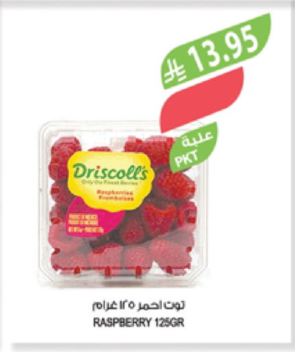 Berries available at Farm  in KSA, Saudi Arabia, Saudi - Khafji