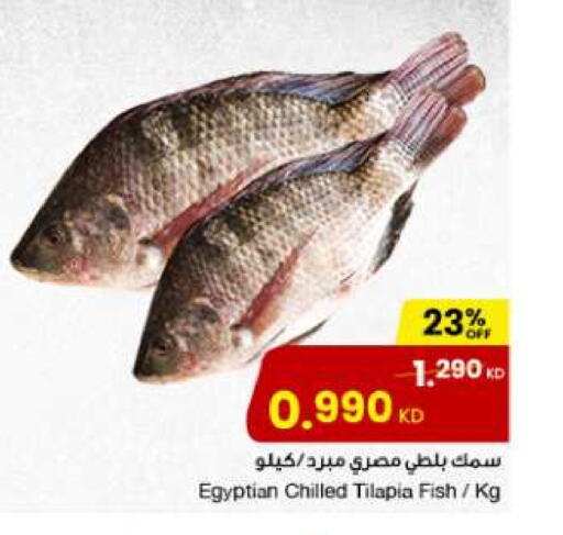 available at The Sultan Center in Kuwait - Ahmadi Governorate