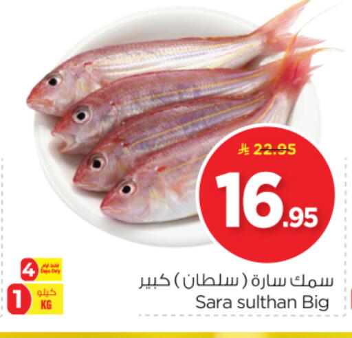 الأسماك الطازجة in نستو, المملكة العربية السعودية Offers - المملكة العربية السعودية available at نستو in مملكة العربية السعودية, السعودية, سعودية - الرياض