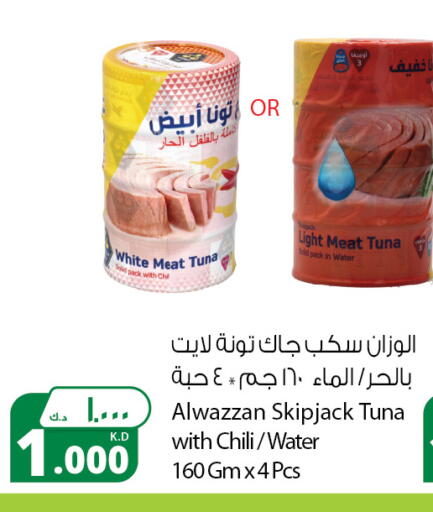 Tuna - Canned available at Agricultural Food Products Co. in Kuwait - Jahra Governorate