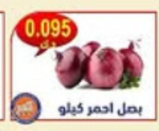 Onion available at  Al Naeem coop in Kuwait - Ahmadi Governorate