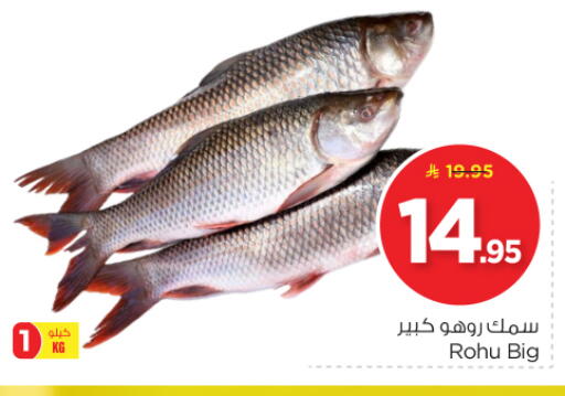 available at Nesto in KSA, Saudi Arabia, Saudi - Riyadh