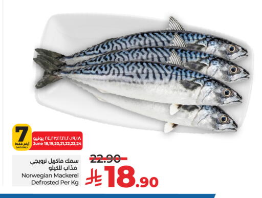 available at LULU Hypermarket in KSA, Saudi Arabia, Saudi - Hail