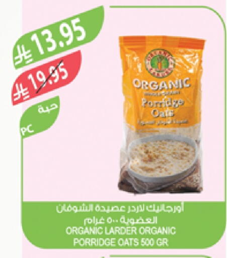 Oats available at Farm  in KSA, Saudi Arabia, Saudi - Arar