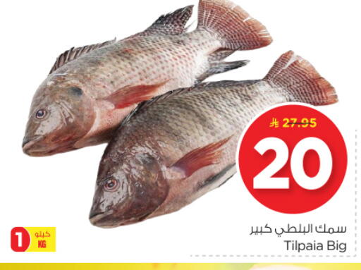available at Nesto in KSA, Saudi Arabia, Saudi - Riyadh