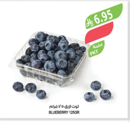 Berries available at Farm  in KSA, Saudi Arabia, Saudi - Abha