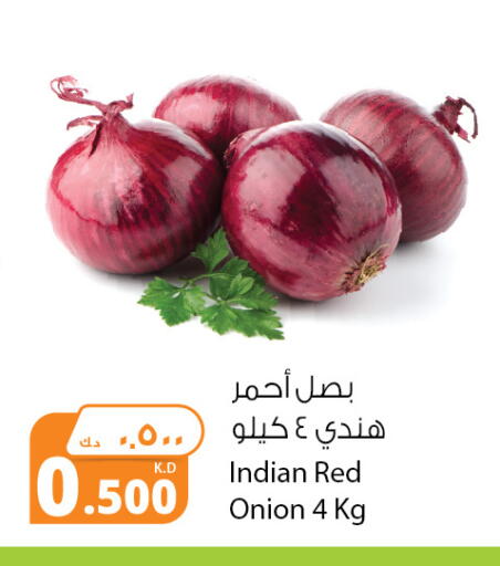 Onion from India available at Agricultural Food Products Co. in Kuwait - Ahmadi Governorate