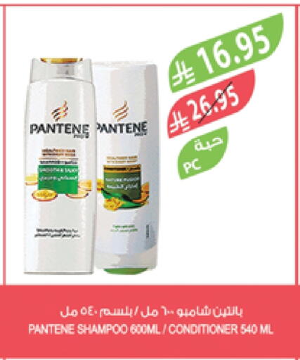 PANTENE Shampoo / Conditioner available at Farm  in KSA, Saudi Arabia, Saudi - Najran