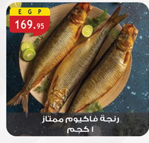 available at الرايه  ماركت in Egypt - القاهرة