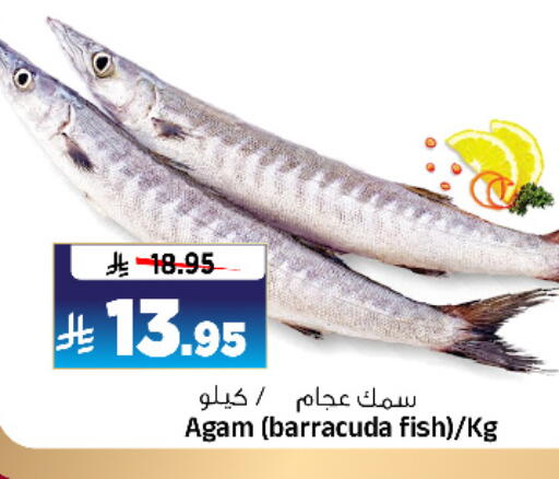 available at Al Madina Hypermarket in KSA, Saudi Arabia, Saudi - Riyadh