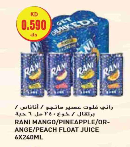 RANI available at Grand Costo in Kuwait - Ahmadi Governorate