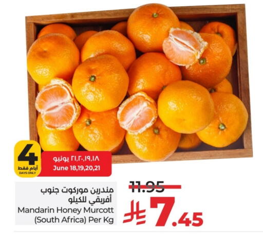 Orange from South Africa available at LULU Hypermarket in KSA, Saudi Arabia, Saudi - Al-Kharj