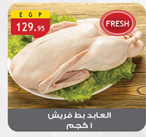 available at الرايه  ماركت in Egypt - القاهرة