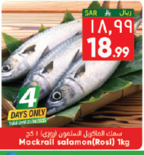 available at City Flower in KSA, Saudi Arabia, Saudi - Hail