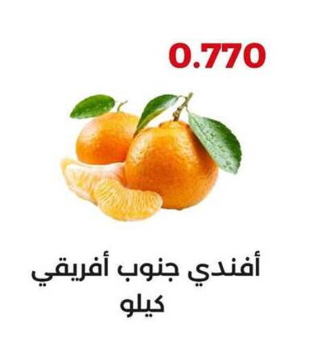 Orange available at  Adailiya Cooperative Society in Kuwait - Jahra Governorate