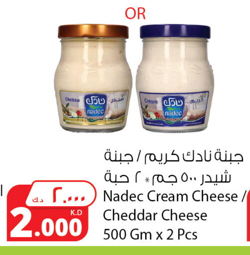 نادك جبنة الشيدر available at شركة المنتجات الزراعية الغذائية in الكويت - محافظة الأحمدي