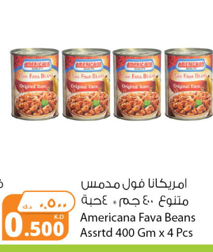 AMERICANA Fava Beans available at Agricultural Food Products Co. in Kuwait - Jahra Governorate
