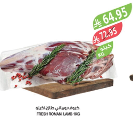 Meat - Fresh & Chilled in Farm , Saudi Arabia Offers - Saudi Arabia Mutton / Lamb available at Farm in KSA, Saudi Arabia, Saudi - Khafji