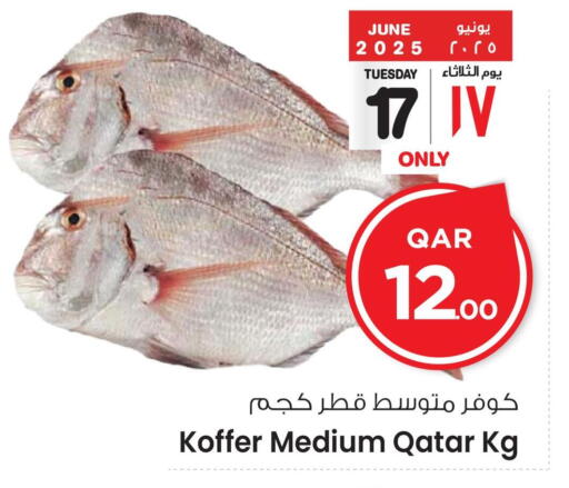 Fresh Fish in Mark & Save , Qatar Offers - Qatar available at Mark & Save in Qatar - Al-Shahaniya