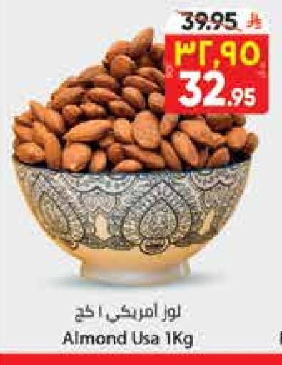 available at City Flower in KSA, Saudi Arabia, Saudi - Jubail