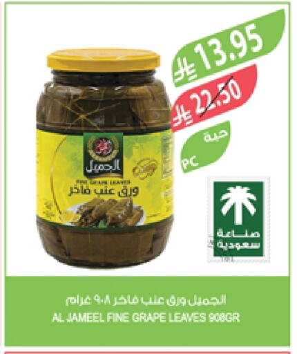 available at Farm  in KSA, Saudi Arabia, Saudi - Khafji