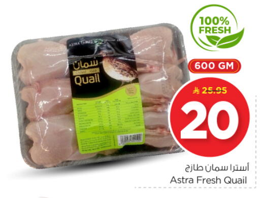 Meat - Fresh & Chilled in Nesto, Saudi Arabia Offers - Saudi Arabia available at Nesto in KSA, Saudi Arabia, Saudi - Al-Kharj