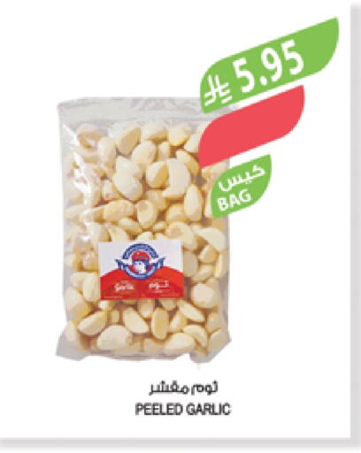 Garlic available at Farm  in KSA, Saudi Arabia, Saudi - Khafji