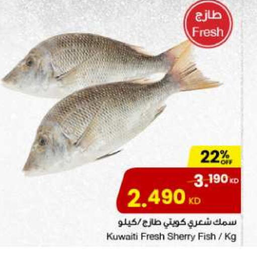 available at The Sultan Center in Kuwait - Ahmadi Governorate