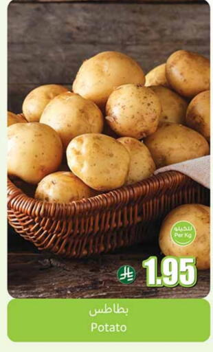Potato available at Othaim Markets in KSA, Saudi Arabia, Saudi - Rafha