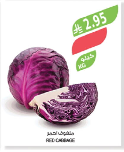الخضروات الطازجة in المزرعة, المملكة العربية السعودية Offers - المملكة العربية السعودية كرنب available at المزرعة in مملكة العربية السعودية, السعودية, سعودية - الخبر