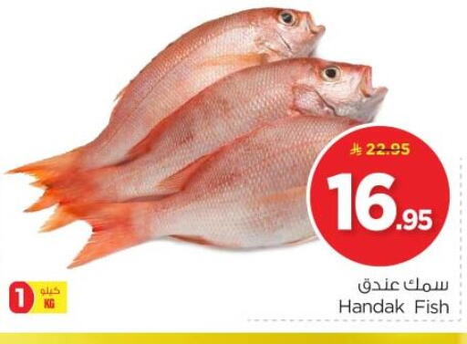 available at Nesto in KSA, Saudi Arabia, Saudi - Riyadh