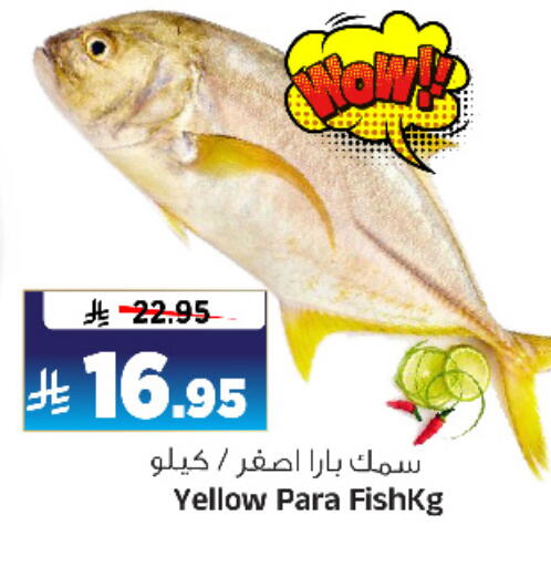 الأسماك الطازجة in المدينة هايبرماركت, المملكة العربية السعودية Offers - المملكة العربية السعودية available at المدينة هايبرماركت in مملكة العربية السعودية, السعودية, سعودية - الرياض